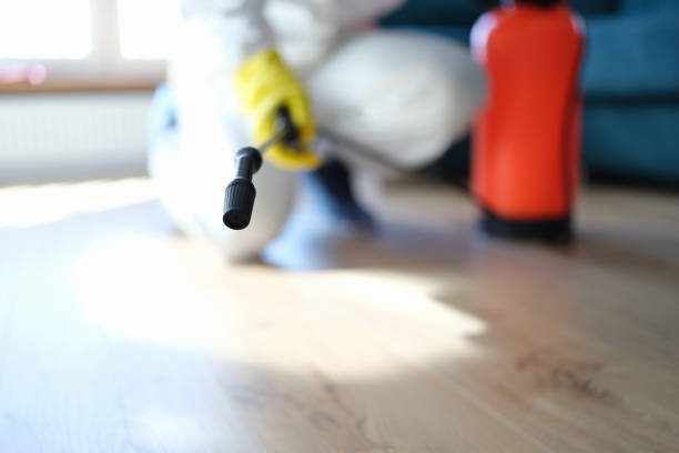 Best Mold Prevention Services  in Lmerton, PA